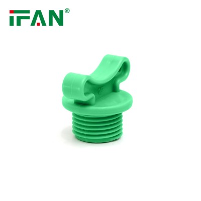 Ifan Factory PPR/HDPE/PVC Pipe and Fittings Male Threads Plug End Cap Ear PPR Plug